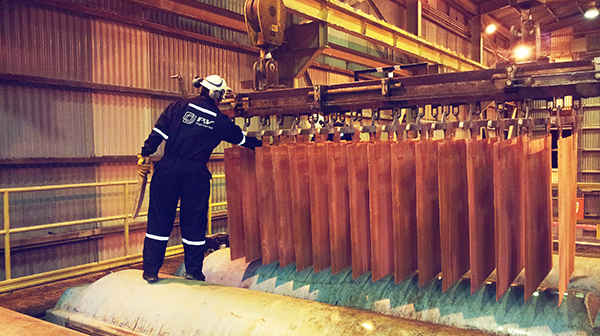 Servicio en industria